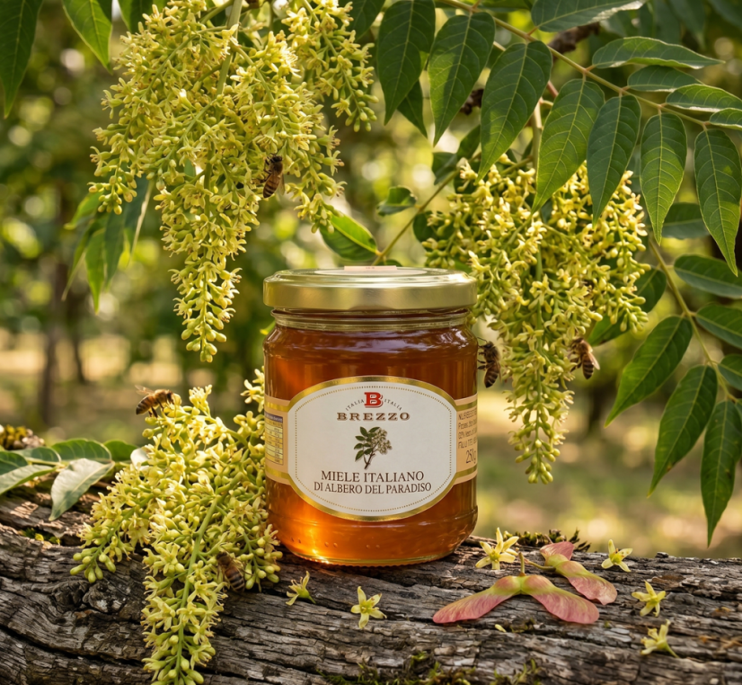 Italský med z Pajasanu žláznatého, 250 g (Miele di Albero del Paradiso)