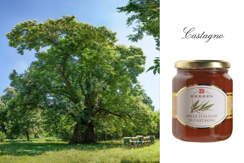 Italský med z kaštanových květů, 500 g (Miele di Castagno)