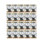 20x Lanýž černý letní celý, 25 g