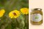 Italský med z pampeliškových květů, 250 g (Miele di Tarassaco)