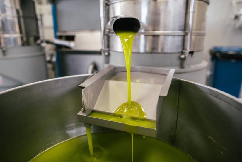 Extra panenský olivový olej ochucený citronem, 250 ml (Ročník 2023/24)