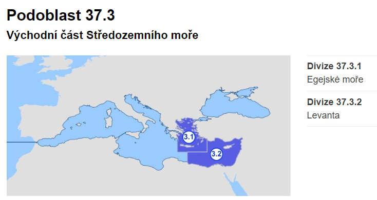 Bůček středomořského tuňáka v olivovém oleji, 200 g (Ventresca di Tonno)