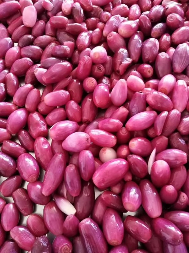 Červené cibule z Tropejí ve sladkokyselé, 280 g