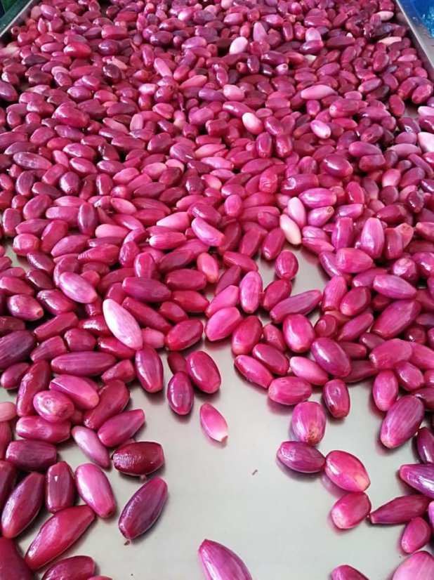 Červené cibule z Tropejí ve sladkokyselé, 280 g