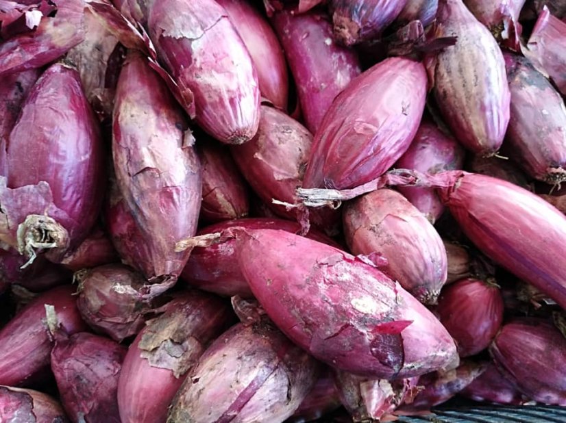 Červené cibule z Tropejí ve sladkokyselé, 280 g