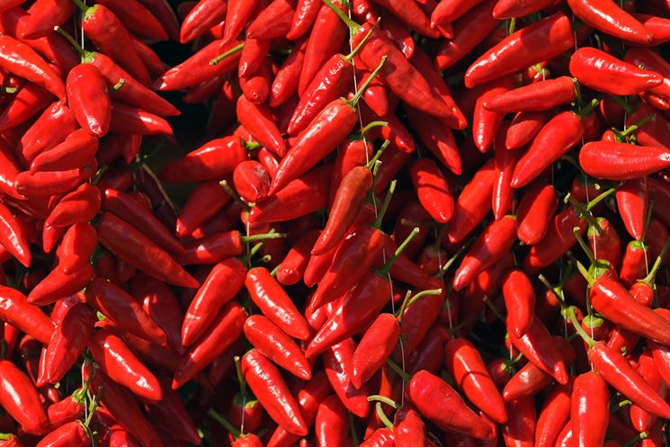Italské chilli papričky Diavolicchio v oleji, 290 g