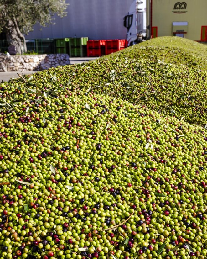 Extra panenský olivový olej Clemente Villa Fiorita, 750 ml