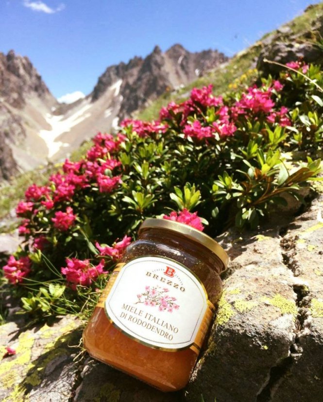 Italský med z rododendronových květů, 250 g (Miele di Rododendro)